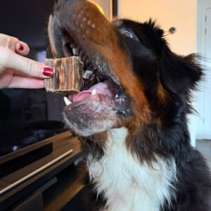 Gedroogde Runderlong | Happy woof & wag solutions