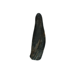 Viking Twist Horn | HappyWoof